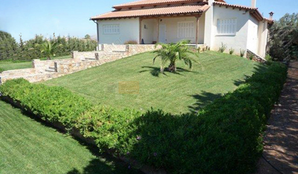 Εξωτερική όψη - Outdoor view